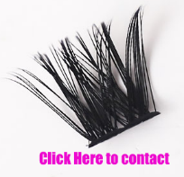 Erzielen Sie einen atemberaubenden Look mit Wimpernbüscheln und flauschigen Wimpernverlängerungen